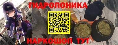 прущие грибы Кинель