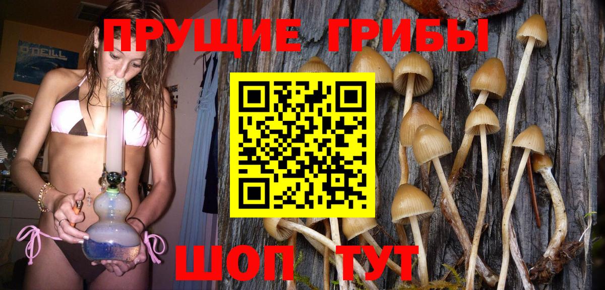 Красноярск  Псилоцибиновые грибы мицелий  Вход с VPN 