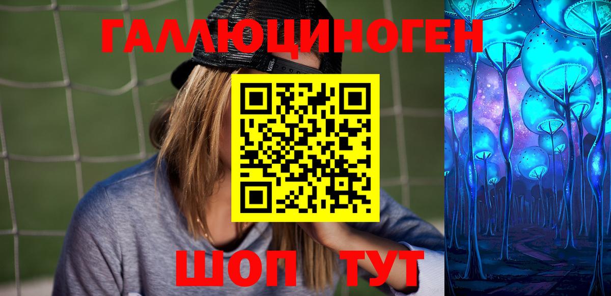 Псилоцибиновые грибы Psilocybe Красноярск